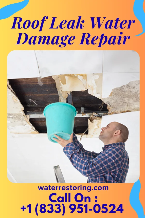 Roof Leak Water Damage Repair in West Point, GA